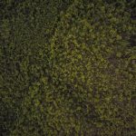 Mini Webcam HD
