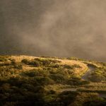 Elite Power Bank